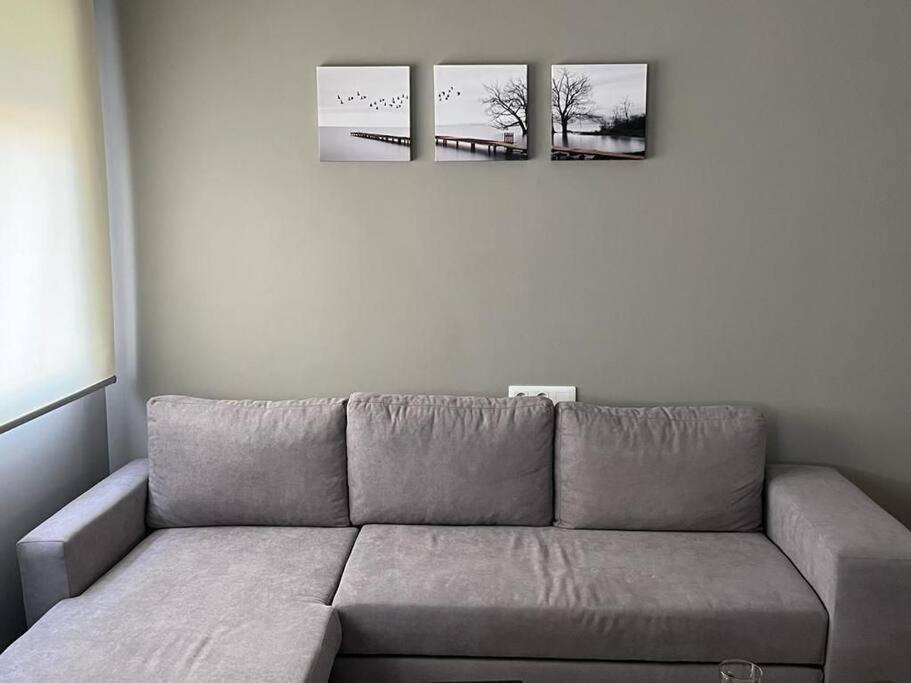 Apartamentos Camino A Ribeira Quiroga ภายนอก รูปภาพ
